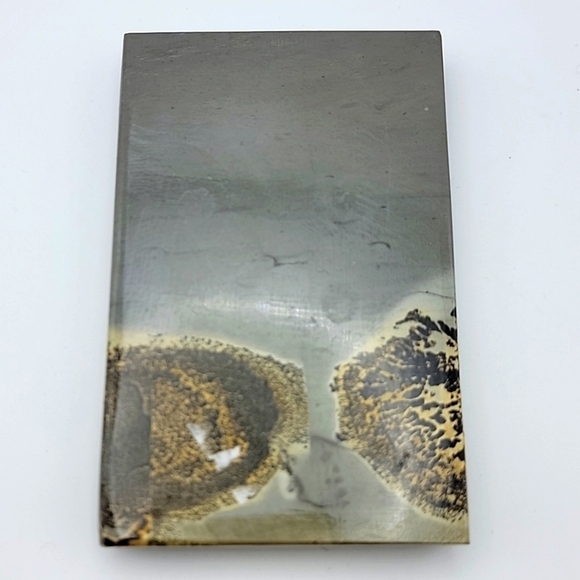 Polished Carved Picture Jasper Creeping Death Skull Natural Gemstone NWOT - Picture 10 of 10